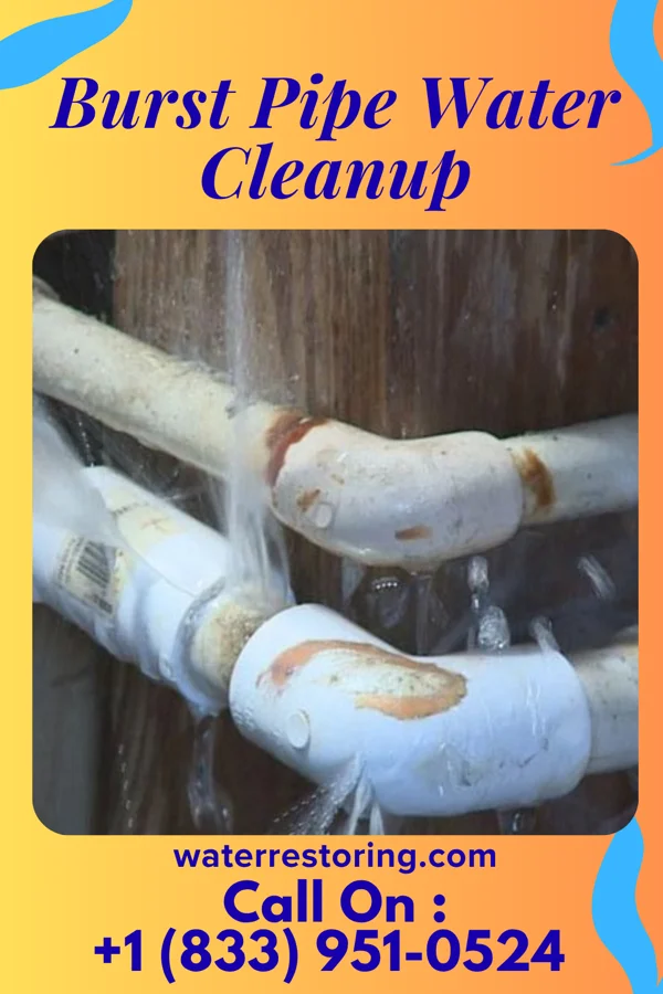 Burst Pipe Water Cleanup in Arrowhead Lake, NJ