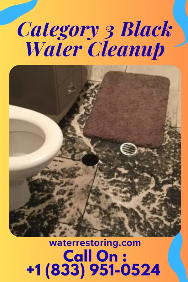 Category 3 Black Water Cleanup in Arrowhead Lake, NJ