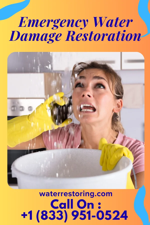 Emergency Water Damage Restoration in Arrowhead Lake, NJ